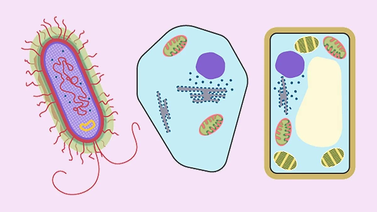 Biology