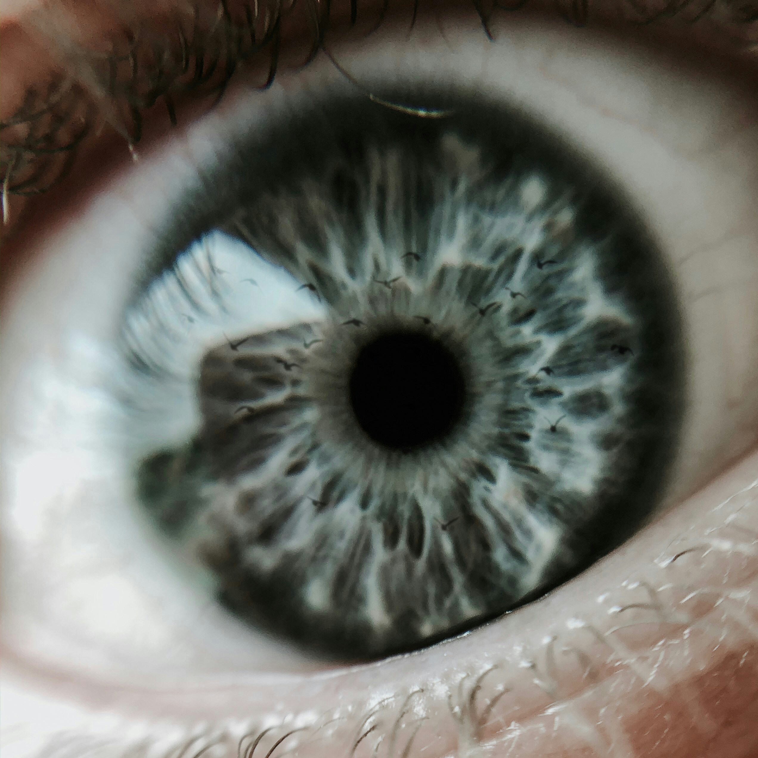 3D Eye Model